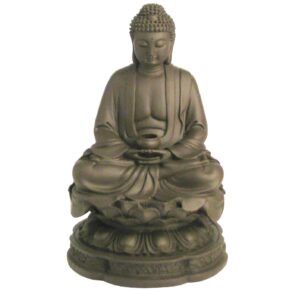 Feng Shui Hälsa Buddha