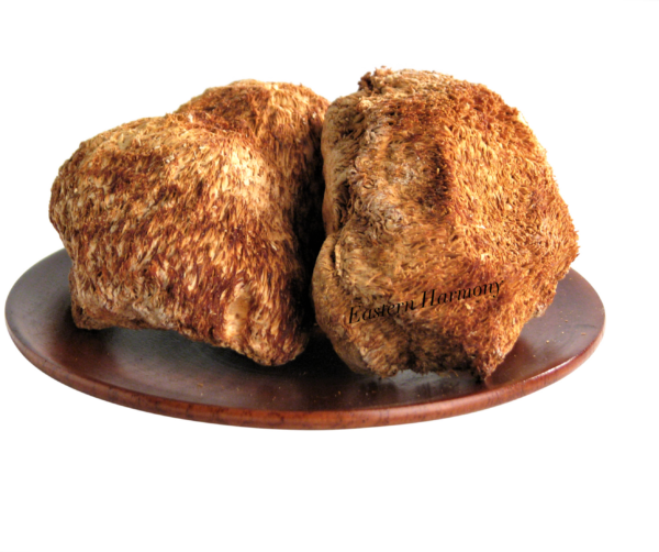 Lion's Mane Mushroom 60g